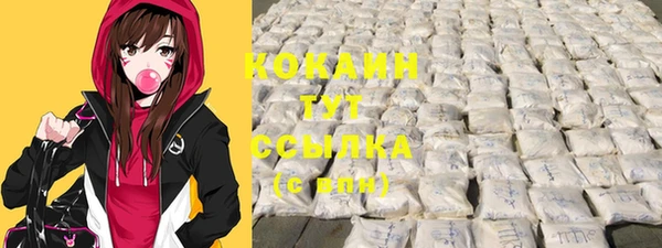 винт Аркадак