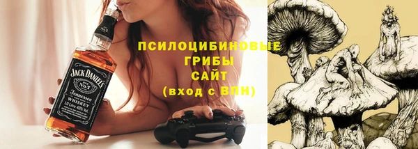 амф Арсеньев