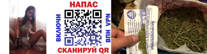 Конопля план  наркотики  blacksprut ССЫЛКА  Ступино 